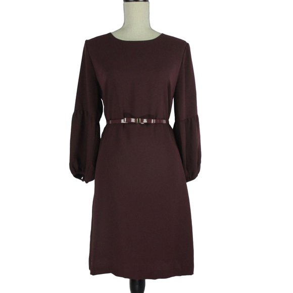 Ann Taylor Dresses & Skirts - Ann Taylor Lantern Sleeve Shift Dress & WHBM Belt size S  NEW